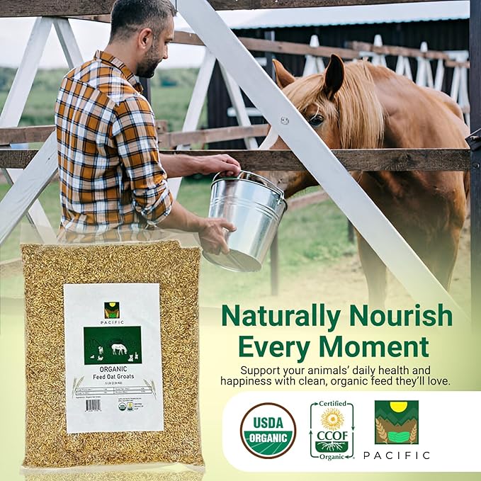 PACIFIC Organic Petfood Organic Feed Oat Groats - Oat Groats for Birds | Rich with Fiber & Minerals | USDA and CCOF Certified | Packed in USA (5 Pound (Pack of 1))