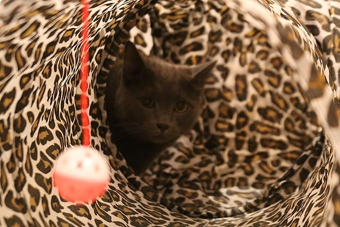 Feline Ruff 3 Way Cat Tunnel. Extra Large 12 Inch Diameter and Extra Long. A Big Collapsible Play Toy. Wide Pet Tunnel Tube for Rabbits, Kittens, Large Cats, and Dogs (Animal Print)