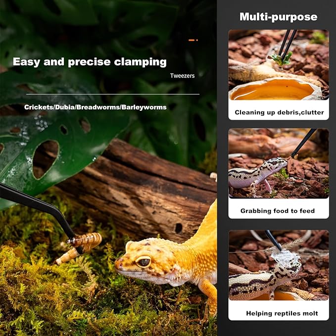 Reptile Long Handle Feeding Tools,2Pcs Extra Long Stainless Steel Reptile Feeding Tongs with Rubber Tip, 1Pcs Reptile Feeding Spoon, 1Pcs Plastic Reptile Feeding clamp,Terrarium Feeder Tool