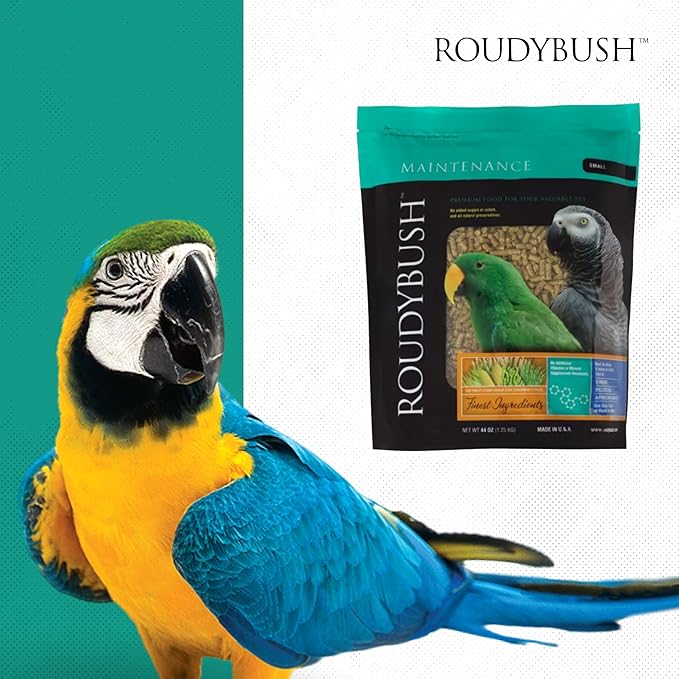 Roudybush Daily Maintenance Bird Food, Small, 44-Ounce