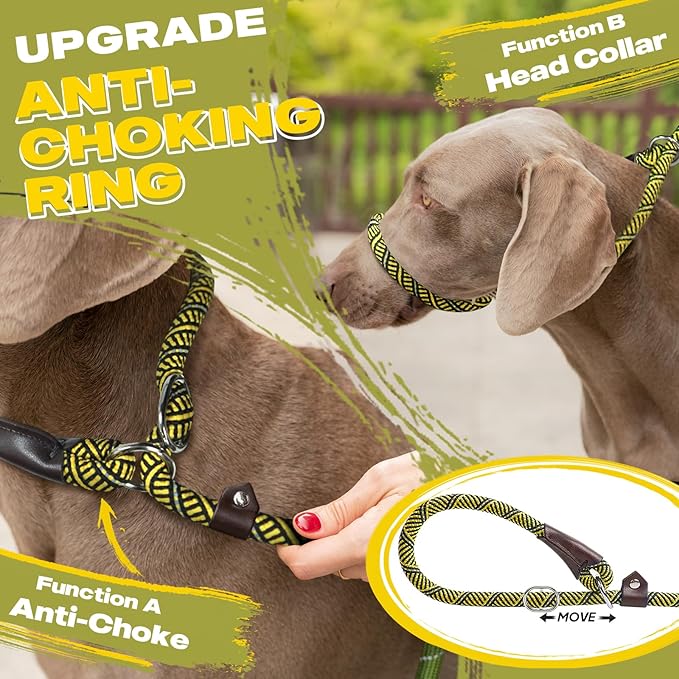Fida Durable Slip Lead Dog Leash, 6 FT x 3/8" Heavy Duty Comfortable Strong Rope Slip Lead for Small Dogs and Puppies, No Pull Pet Training Leash with Highly Reflective (3/8", Yellow)