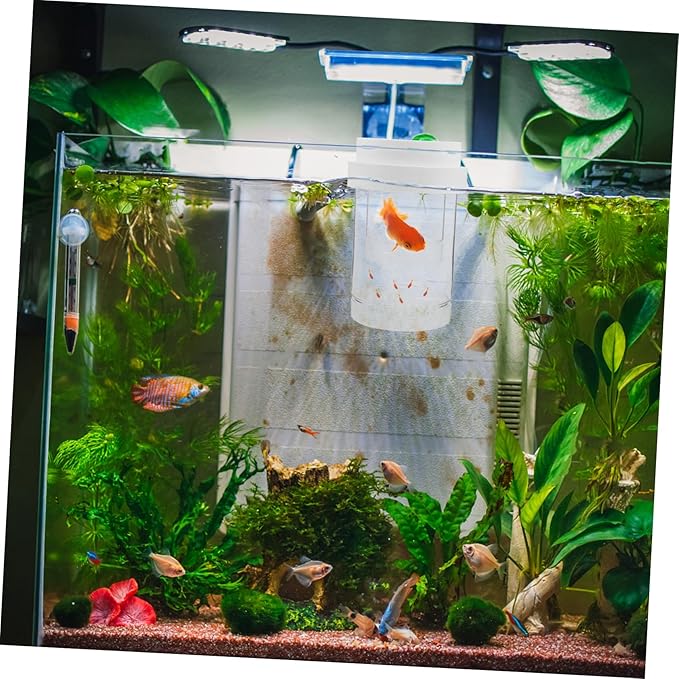 UPKOCH 1 Set Fish Breeding Box: Floating Fish Isolation Box for Aquarium - Breeding and Hatching Incubator for Clownfish Guppy Betta Shrimp