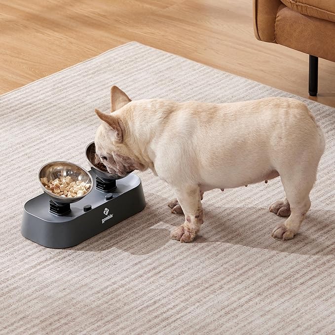 Raised Cat Food and Water Bowls with 3 Height for Indoor Cats, 15° Tilted in Both Ways Elevated Base Anti Vomiting Cat Dishes, Anti Spill for Puppies