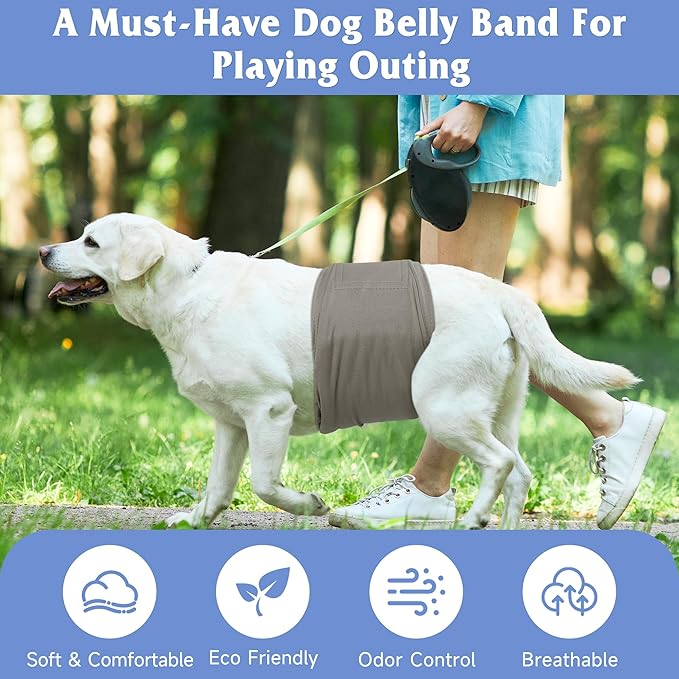 5 Pack Dog Diapers Male Reusable, Premium Belly Bands for Dogs, High Absorbing Male Dog Pee Wraps for Doggie in Incontinence or Excitable Urination Green S