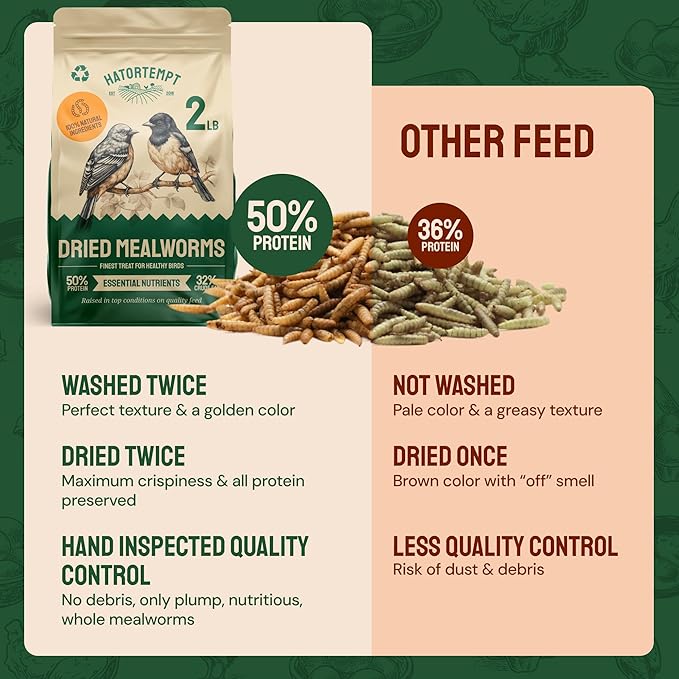 Hatortempt 2lb Dried Mealworms for Chickens - 50% Protein and 32% Essential Fats to Support Healthy Feather Growth During Molt - Organic Treats for Chickens, Ducks, Wild Birds & Reptiles