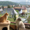 JUMXSRLE Balcony Netting for Cats, Wire-Reinforced Cat Net, Bite and Tear-Resistant, UV and Weather-Resistant, Balcony Cat Anti-Fall Netting for Pets (10x3m-black)
