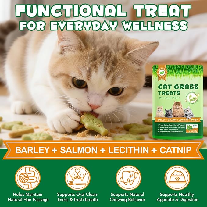 Cat Grass Treats, Cat Treats for Indoor Cats, Promotes Natural Hairball Passage, Reduce Plaque Build-Up Support Fresh Breath, Cats Dental Care Bites Kitten Snacks Training Biscuits, Catnip Flavour