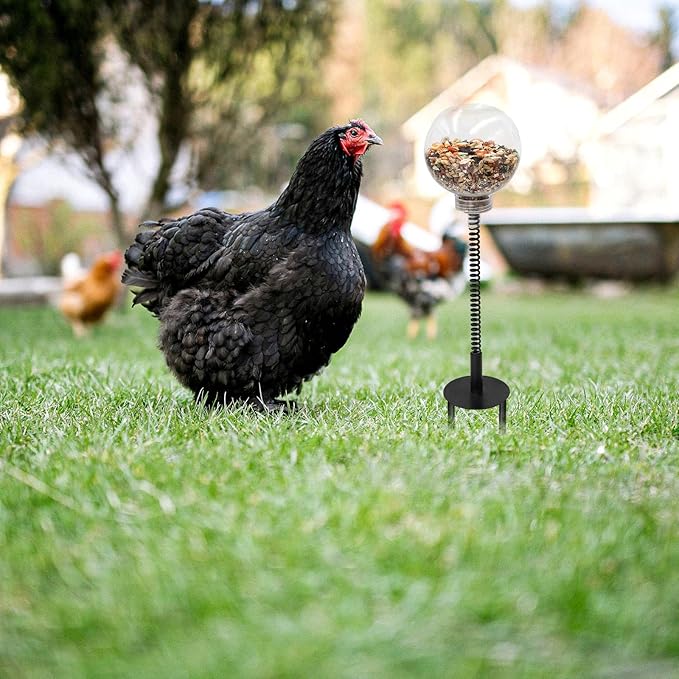 Oooct 4 Pack Chicken Peck Toy - Chicken Enrichment Toys with Swing Feeder & Slow Feeder for Hens, Ducks, Parrots