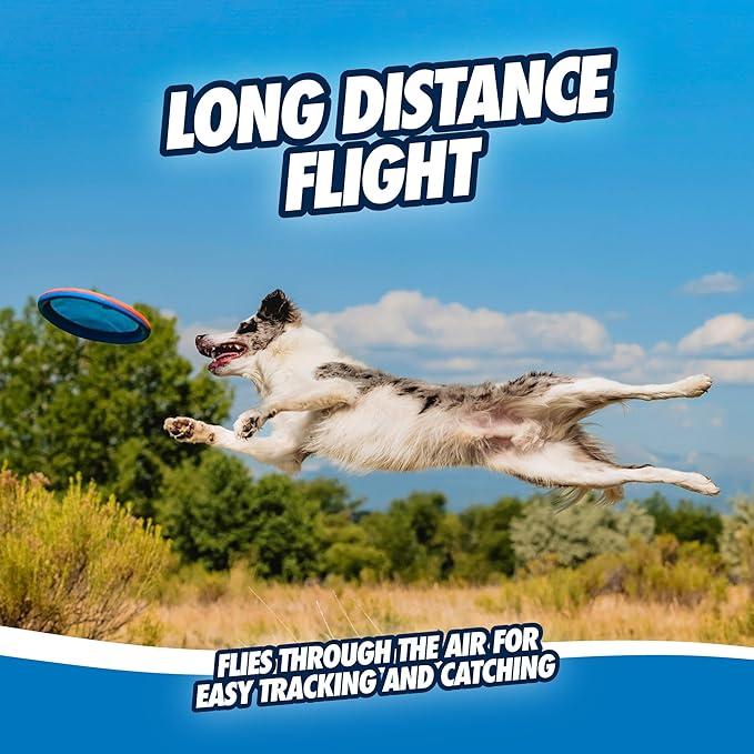 Chuckit! Paraflight Flying Disc Dog Toy - Water Floating Flyer - Durable Nylon Construction with Soft Rubber Edges - for Medium and Large Dogs - Size Large - 9.75" L x 9.75" W -,1 Count (Pack of 4)