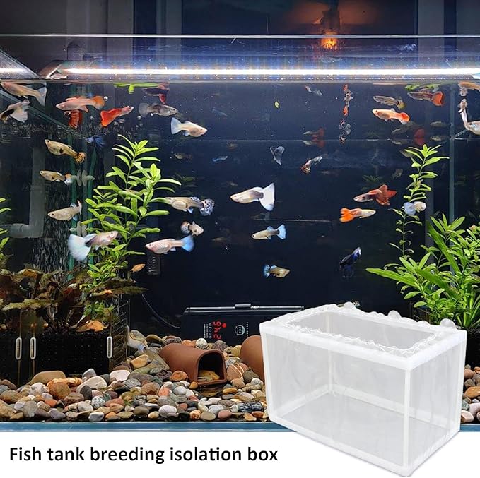 Fish Breeding Box – Aquarium Breeder Box with Mesh, Fish Fry Hatchery & Isolation Box, Suction Cup Fish Tank Breeding Box, Juvenile Fish Separation Net for clownfishh and Other Fish