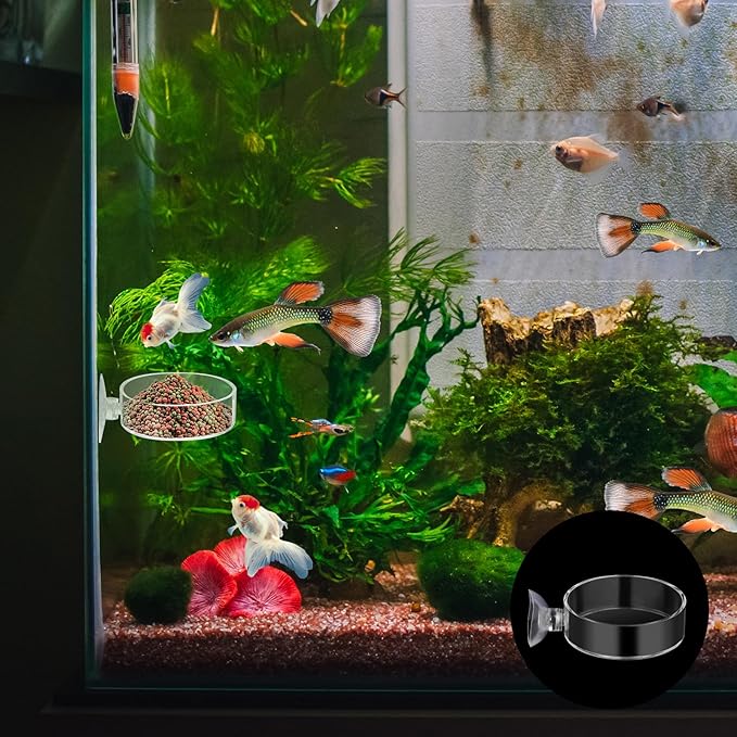 60mm Fish Tank Feeder Dish Aquarium Shrimp Feeder Dish with Suction Clear Fish Tank Feeding Bowl Round Clear Dishes Tray（2pcs）