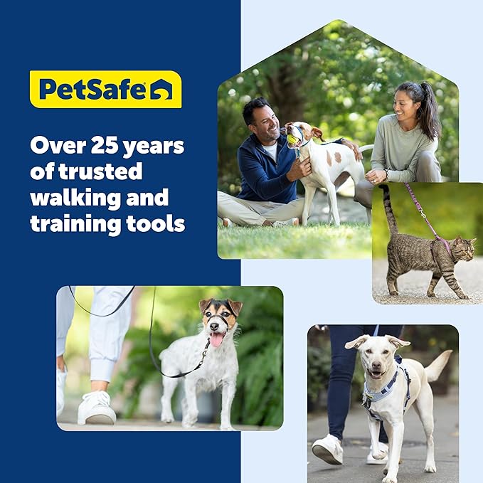 PetSafe Gentle Leader No-Pull Dog Headcollar - The Ultimate Solution to Pulling - Redirects Your Dog's Pulling for Easier Walks - Helps You Regain Control - Small, Apple Green