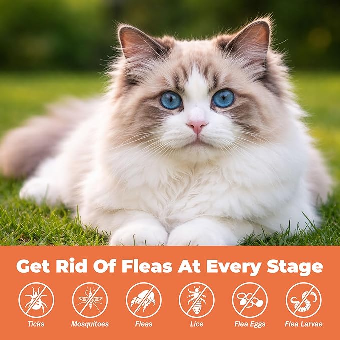 Flea and Tick Prevention for Cats – Cat Flea & Tick Control Supplement with Skin & Coat Support, Natural Formula for Fleas, Immune & Digestive Support – 200 Chews
