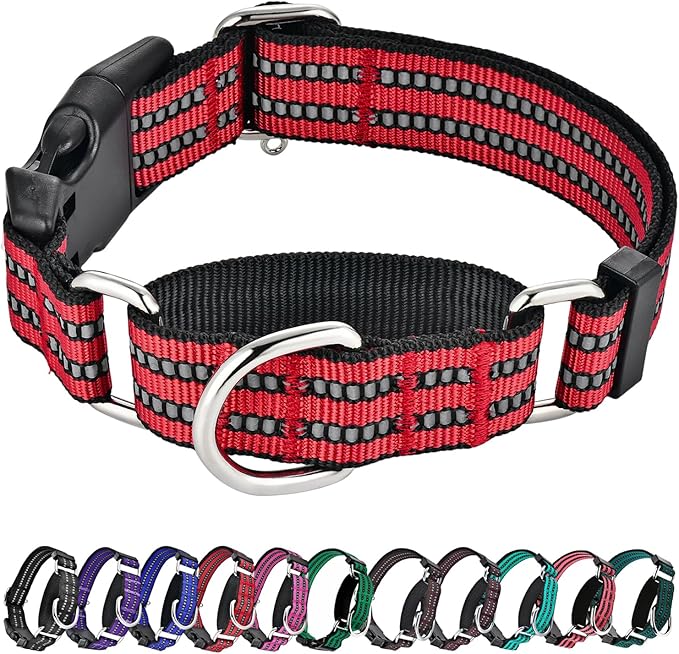 Hikiko Martingale Dog Collars Reflective Nylon Dog Collar with Quick Release Buckle Adjustable Training No Slip Dog Collar (X-Small, Red)