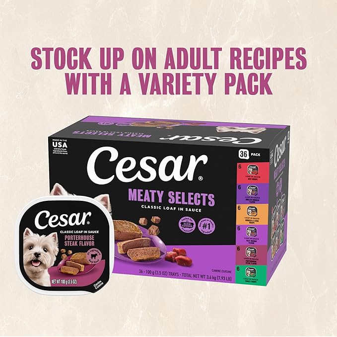 Cesar Classic Loaf in Sauce Adult Wet Dog Food Porterhouse Steak Flavor 3.5 oz. Easy Peel Trays, 24 Count (Pack of 1)