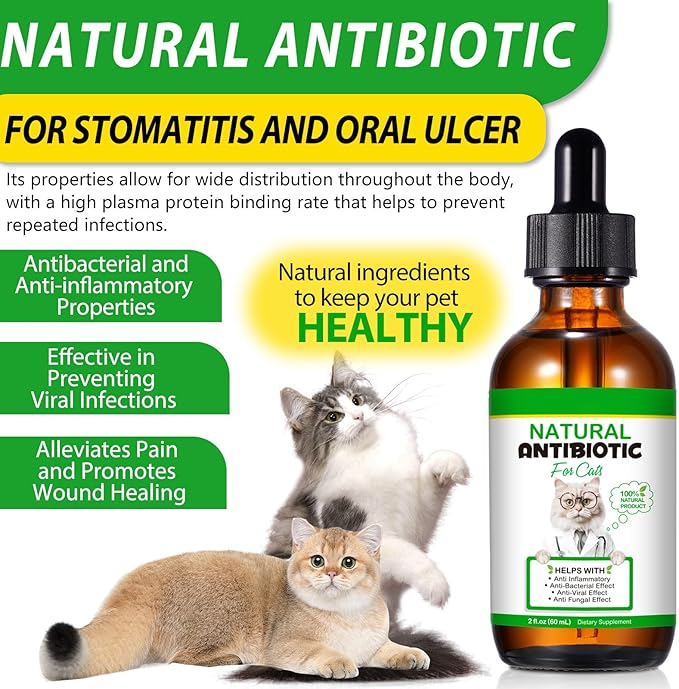 60ML Antibiotics for Cats, Premium Cat Antibiotics Supplement, Cats Multivitamin, Natural Antibiotic for Cats, Cat Antibiotic, Cat Antibiotics Supports Immune & Cats Allergy Relief-2 Fl Oz