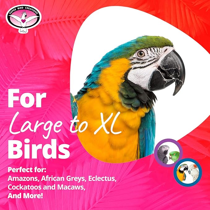 Super Bird Creations - SB439 Beakasaurus Bird Toy - Vibrant Bird Toy for Macaws, Parrots, Eclectus & African Greys with Chewable Elements - Perfect Toy for Beak Health - Large to XL Bird Size