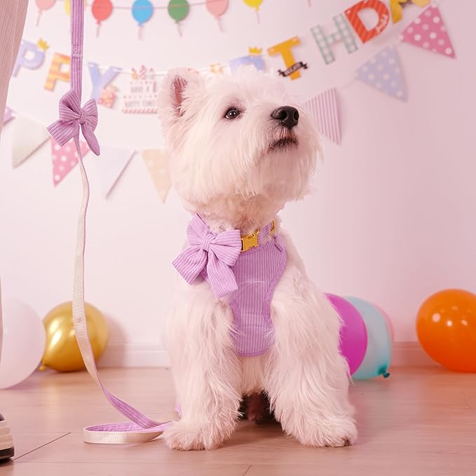 Didog Cute Small Dog Harness Collar and Leash Set with Bowtie, Breathable Soft Mesh Padded Puppy Harness, Dog Harness for Small Dogs Daily Walks Parties, Holiday Gatherings & Gifts, Purple, M