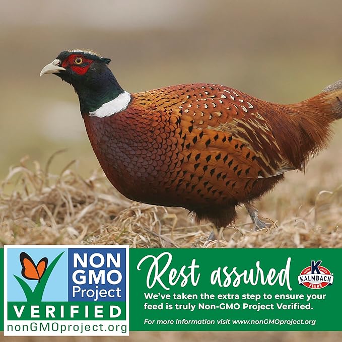 Kalmbach Feeds Start Right Non-GMO Turkey & Gamebird Crumble Feed, 50 lb Bag