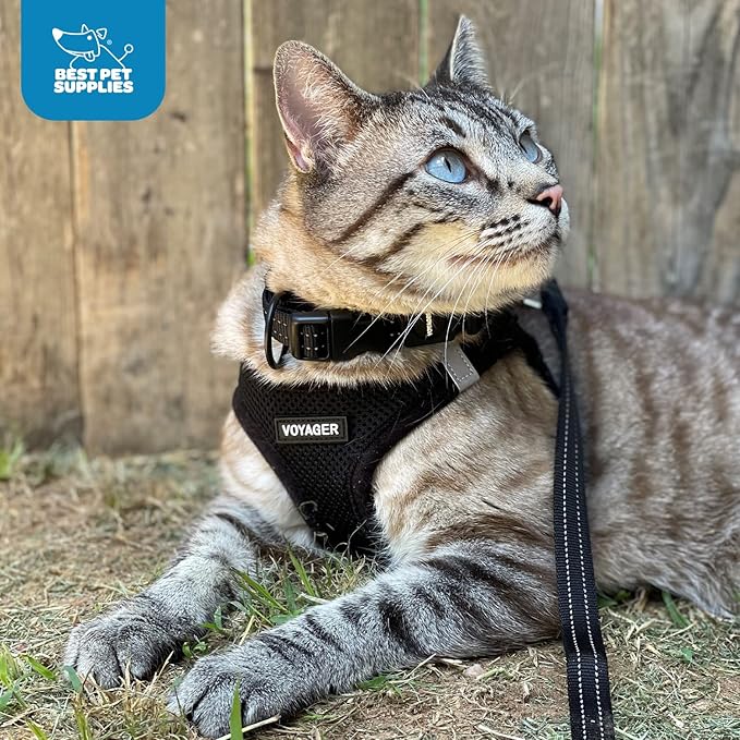 Best Pet Supplies Voyager Step-in Air Harness - All Weather Mesh, Reflective, No Pull Harness for Dogs, Cats - Secure with Hook & Loop Fastener, Buckle, Double D-Rings - Red/Black Trim, XS