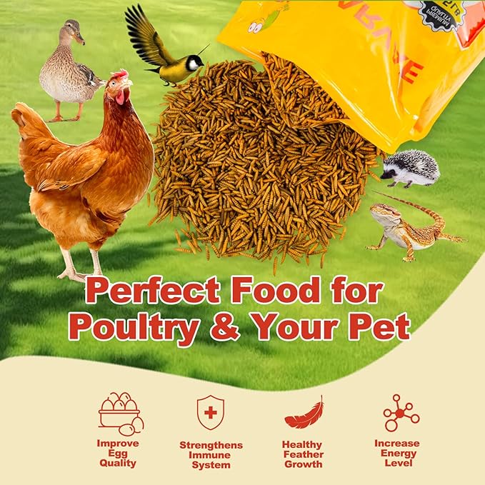 10LB Dried Black Solider Fly Larvae, BSFL is High Protein Chicken Feed with 85x More Calcium Than Dried Mealworms, Poultry Treats, Chickens Love, Birds Love, Hens Love, Ducks Love