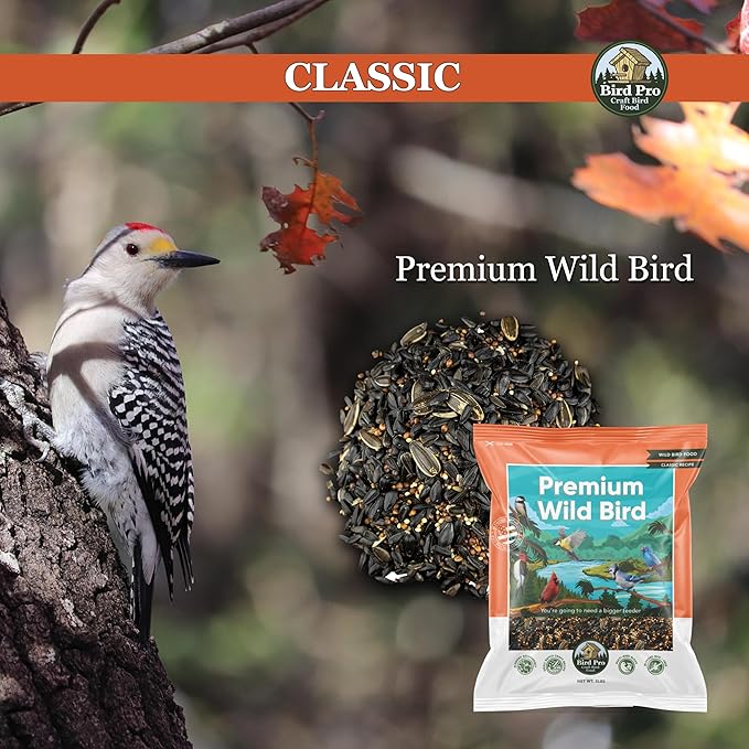 Classic Bird Seed (40 Pounds, Premium)