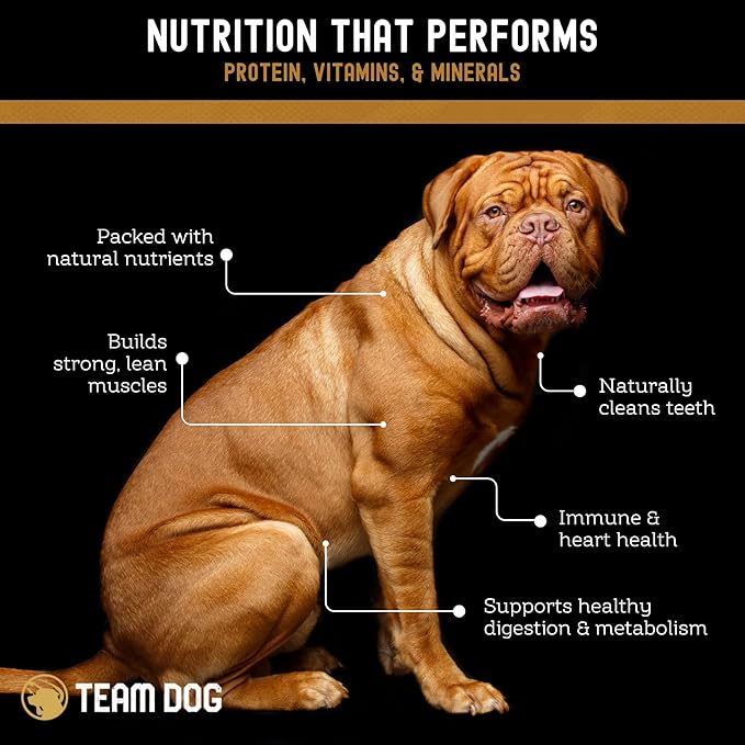Team Dog Freeze-Dried Raw Pork Soft Dog Treats & Dog Food Topper | Grain Free Dog Treats for Training | 100% USA-Sourced Pork for Cleaner Teeth, Digestive Health & Muscle Growth | 14 oz Bulk Size