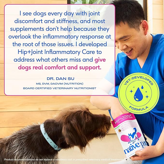 Native Pet Pain Relief for Dogs - Collagen for Dogs Promotes Joint Health, Reduce Inflammation & Stiffness - Senior Pup Joint Supplement - Natural Pain Reliever for Active & Aging Pets - 60 Chews