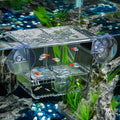 Pawfly Aquarium Breeding Box, Acrylic Fish Isolation Box with 6 Suction Cups, Aquarium Acclimation Hatchery Incubator for Baby Shrimp Betta Aggressive Fish Guppy (Small)