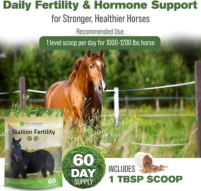 Silver Lining Herbs Stallion Fertility Supplements a Natural Libido & Energy Horse Supplement for Male Horses Help Keeps Stallions in Top Breeding Condition - Equine Herbal Horse Supplements - 1 lb