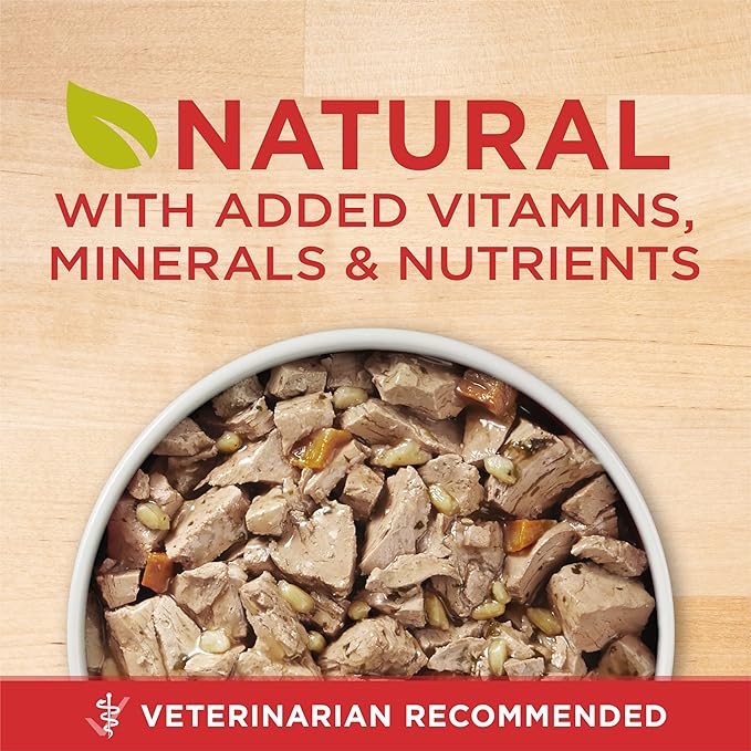 Purina ONE Natural High Protein Dog Food, Tender Cuts in Gravy Chicken and Brown Rice Entrée - 13 Ounce (Pack of 24)