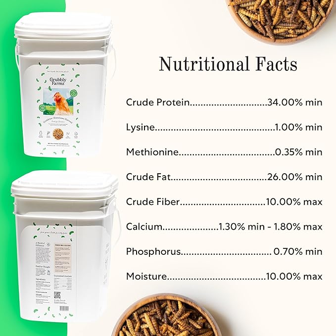 Grubbly Farms Love Tub - Black Soldier Fly Larvae for Chickens - Chicken Treats with 50x More Calcium for Strong Eggshells and Healthy Feathers - Grown in The US and Canada - 5lb Reusable Tub