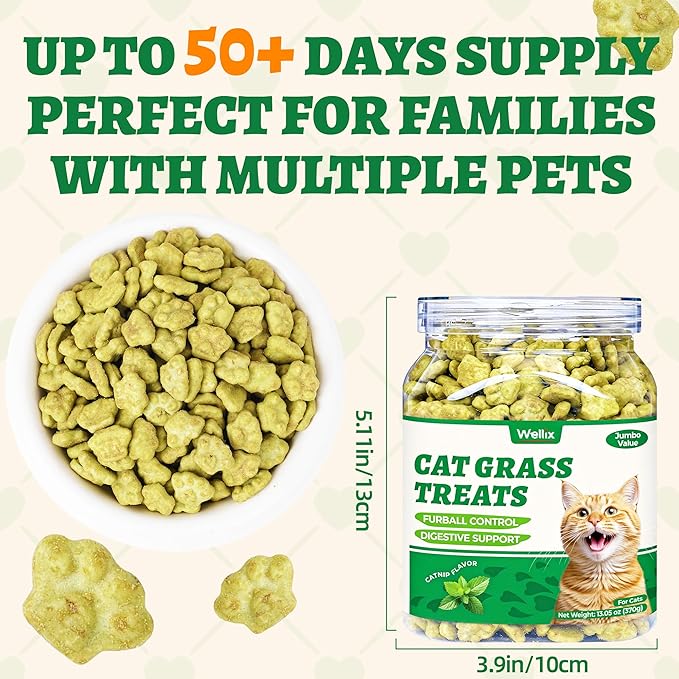 Wellix 13.05oz Organic Cat Grass Treats with Catnip & Salmon - Healthy Cat Treats for Indoor Cats - Hairball Control & Digestive Support - Kittens Training Snacks for Teeth Cleaning