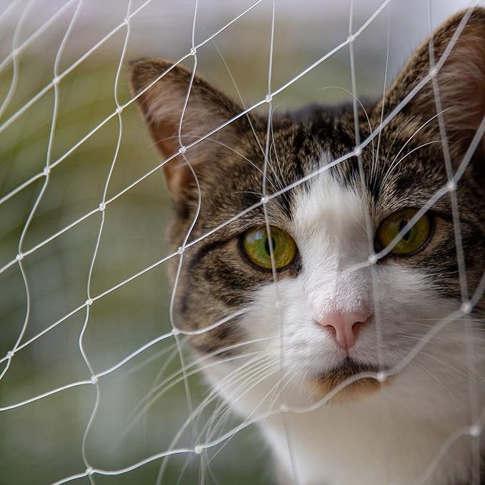 Cat Balcony Net Cat Anti-Fall Fence Net Dog Fence Nets Transparent Nylon Pet Mesh Fence Anti-Fall Netting for Balcony Window Stairs Netting for Balcony Window Stairs（1020ft, 10 * 20ft