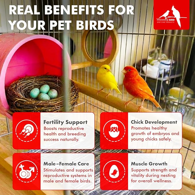 Morning Bird Nesting Nudge 4.5 Oz – Supports Reproductive Health & Energy – Stimulates Male and Female Reproductive Systems - Breeding Supplement with Essential Amino Acids & Vitamin D3