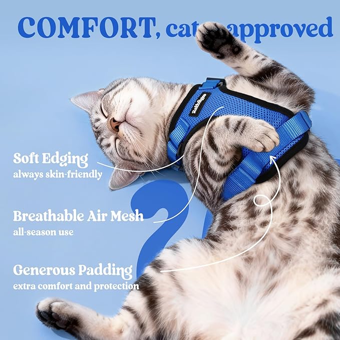 rabbitgoo Cat Harness and Leash for Walking, Escape Proof Soft Adjustable Vest Harnesses for Cats, Easy Control Breathable Reflective Strips Jacket, Navy Blue, M