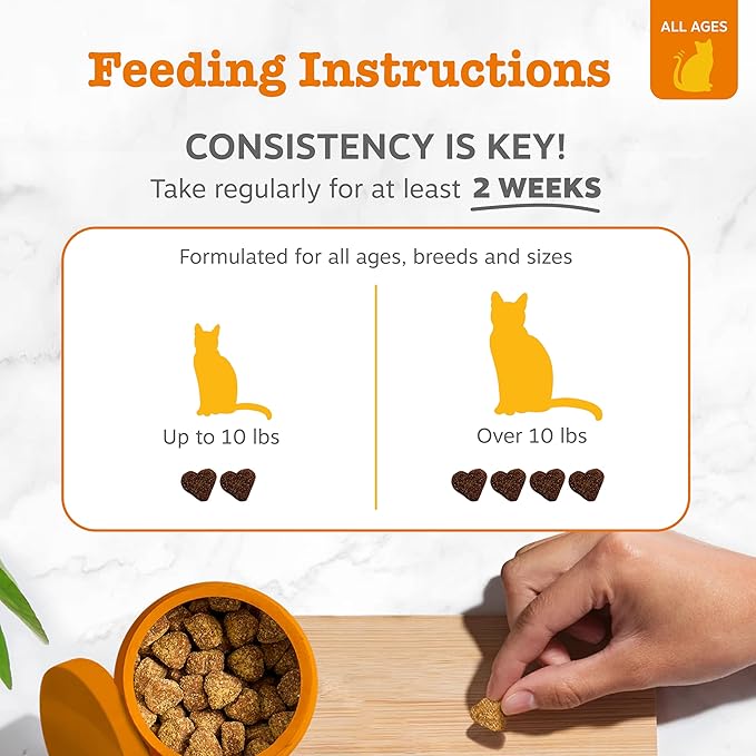 Zesty Paws Calming Chews for Cats - Composure & Relaxation for Everyday Stress & Separation - with Ashwagandha, Organic Chamomile, L-Theanine & L-Tryptophan – Bacon - 60 Count - Cat
