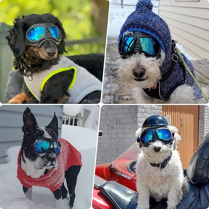 PETLESO Dog Goggles for Small to Medium Breeds, Small Dog Sunglasses UV Protection Windproof Snowproof, Outdoor Driving/Riding/Hiking Pet Eyes Protection, Soft Frame Adjustable Straps, Blue Lens