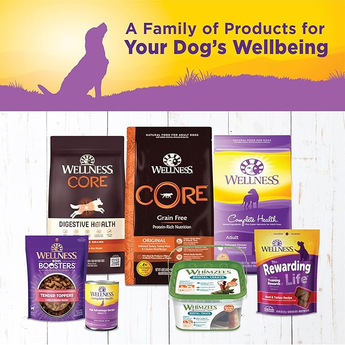 Wellness Complete Health Pate Age Advantage Senior Canned Wet Dog Food, Wholesome Grains, Natural, Chicken and Sweet Potato, 12.5 oz, Pack of 12 Cans