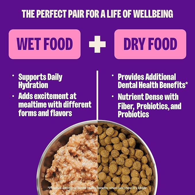 Wellness Complete Health Pate Adult Wet Cat Food,Natural,Protein-Rich,Grain Free,12.5 Ounce,(Chicken),12 Count (Pack of 2)