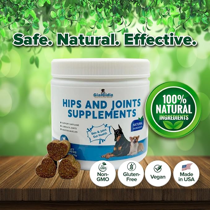 Dog Hip and Joint Supplement Soft Chews – Supports Mobility, Flexibility & Cartilage Health – Helps Relieve Joint Stiffness & Arthritis – Daily Joint Support for Dogs of All Breeds