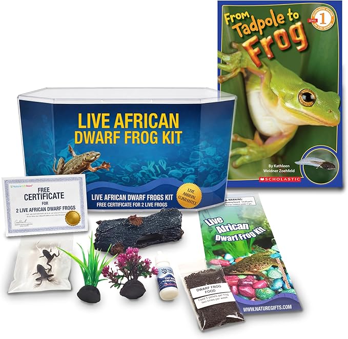 African Dwarf Frog Starter Kit- Includes Certificate for 2 Live Frogs- All-in-One Bundle with Book, Small Aquarium, Food, Instructions Now