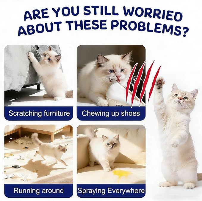 Cat Training Spray with Natural Bitter Extract - Stop Scratching Furniture & Urine Marking, Gentle Deterrent for Indoor Use, Keep Cats Off Counters, Beds, Curtains