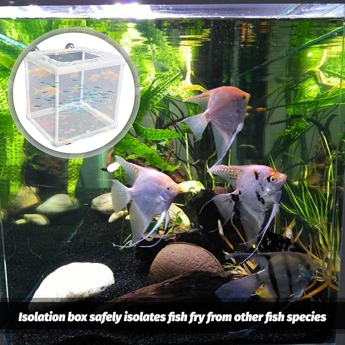 2 Pack Fish Breeder Box for Aquarium,Breeder Box for Fish Tank,Breeding Box for Fish Tank,for Aquarium Juvenile Fishes Separation Net Fry Hatchery with Suction Cups