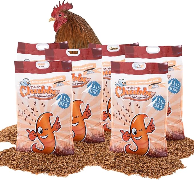 Chubby Dried Mealworms | 66 lbs | High-Protein Non-GMO Treats for Chickens, Ducks, Wild Birds & Backyard Pets