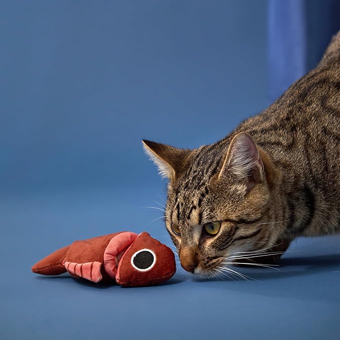 Cat Toys | Plush Toy Fish Puzzle Cat Toys for Indoor Cats | Eco Friendly Toy Made from Non Toxic Materials
