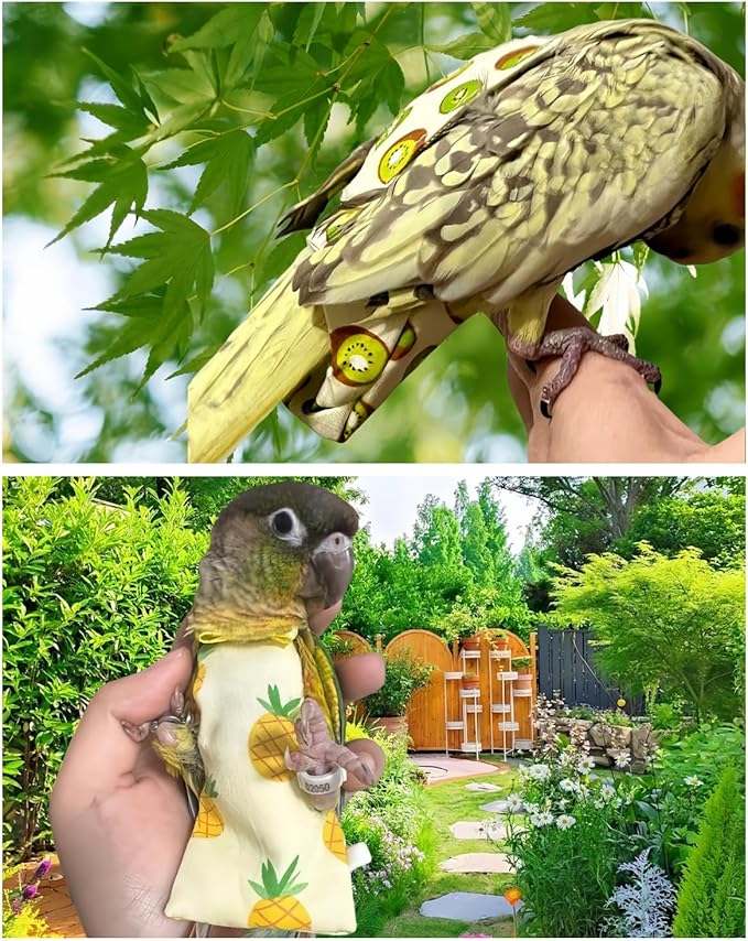 5 Pcs Bird Diapers Bird Harness Flight Suits Diapers Reusable Parrot Nappy with Waterproof Inner Layer Washable Cute Urine Wet Suit for Cockatiel Budgie Conure Macaw Parakeet Lovebird,M