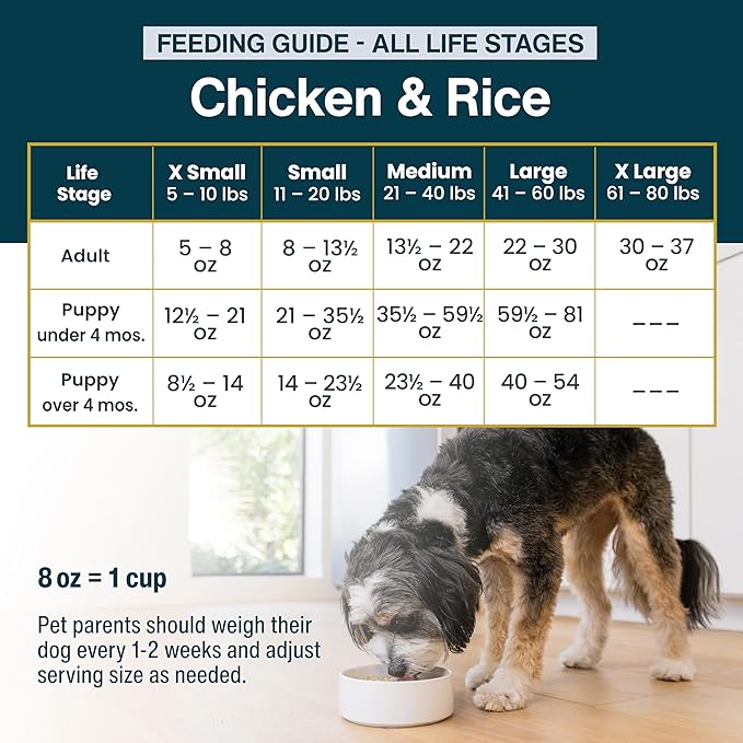 JustFoodForDogs Pantry Fresh Wet Dog Food, Complete Meal or Dog Food Topper, Chicken & White Rice Human Grade Dog Food Recipe - 12.5 oz (Pack of 24)