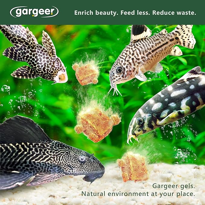 3oz Bottom Dweller Fish Food for Advanced Breeders. Complete Bottom Dweller Gel Diet for Both Juveniles & Adults. Made in The USA Using Premium Ingredients, Nutrition Gourmet Formula
