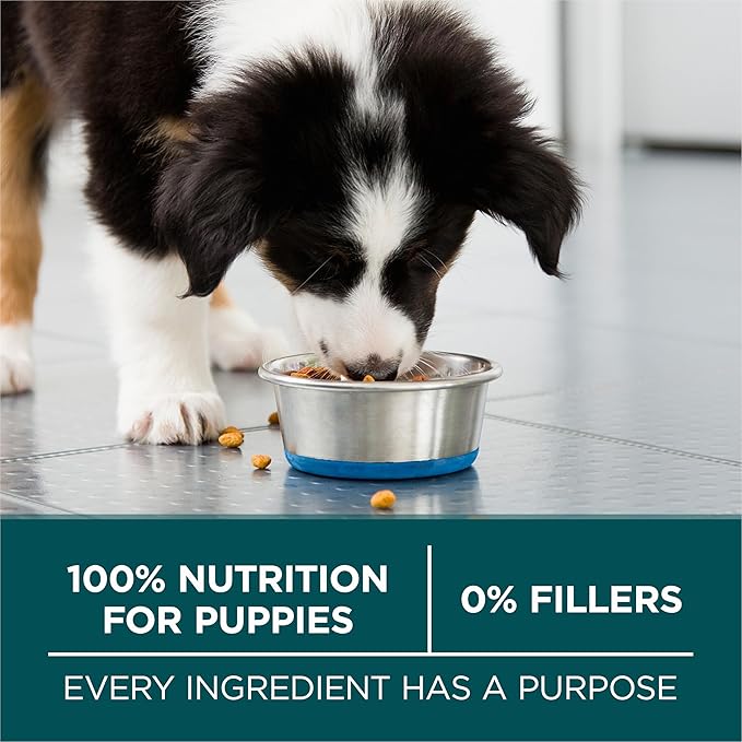 Purina ONE Plus Large Breed Puppy Food Dry Formula - 40 lb. Bag